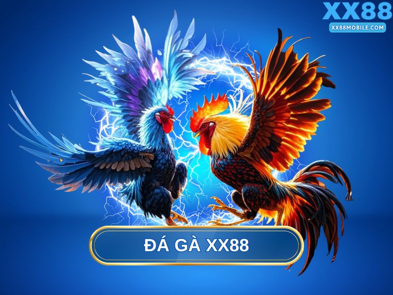 Các sảnh cược Đá gà XX88 trực tiếp hấp dẫn nhất